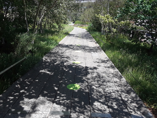 High Line Reopens with Truncated Route, Elevated Experience