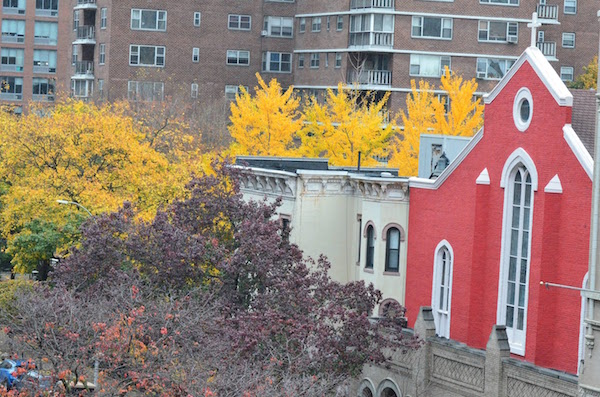 Autumn: A Cycle of Life That Mirrors Our Lives