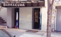 Go Fish: Chelsea’s Barracuda Set to Shutter