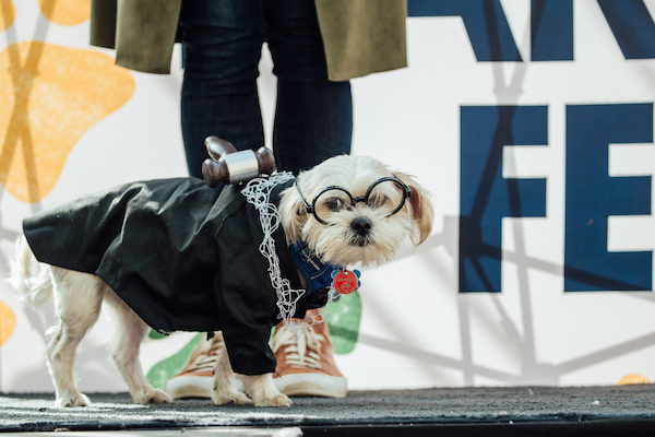 Meatpacking’s ‘Treats in the Streets’ has Sweet Rewards, Including Pawsitively Adorable Doggie Costume Contest