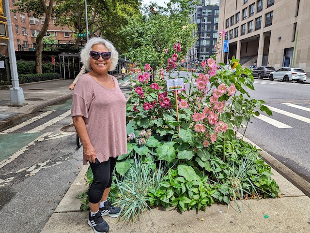 Tree Pit Tour Touts the Perennial Productivity of Chelsea Garden Club Volunteers