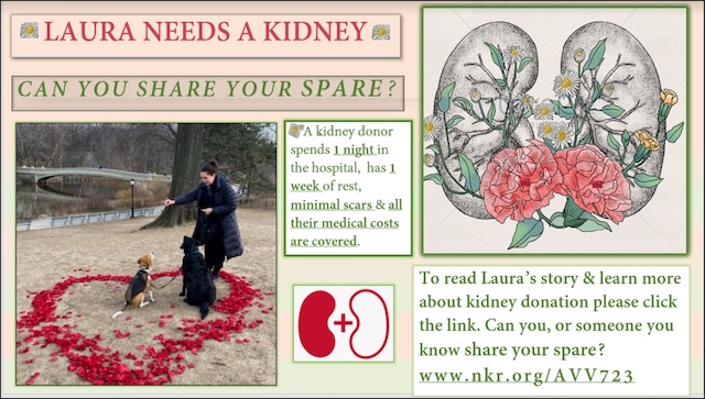 Got a Match? Chelsea Resident Needs 1 of Somebody’s 2 Kidneys