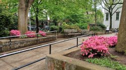 Spring Plantings Prepped Clement Clarke Moore Park for Picturesque Succeeding Season