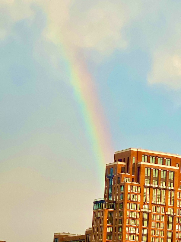 Somewhere After the Rainbow: Scenes from a Sunny CRDC BBQ