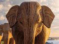 Massive Meatpacking Pachyderm Project Seeks ‘Great Migration’ Guardians