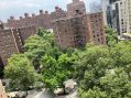 Guest Opinion: Stop Proposed Chelsea NYCHA Demolition and Keep Public Housing PUBLIC