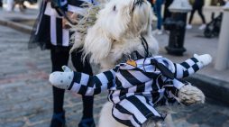 ‘Treats in the Streets’ Made Meatpacking District the Destination for Costumed Kids & Dressed-Up Dogs