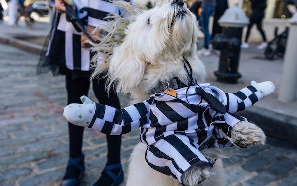 ‘Treats in the Streets’ Made Meatpacking District the Destination for Costumed Kids & Dressed-Up Dogs