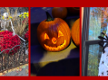 We All Scream Halloween: Frightfully Fun Events to Take a Stab At