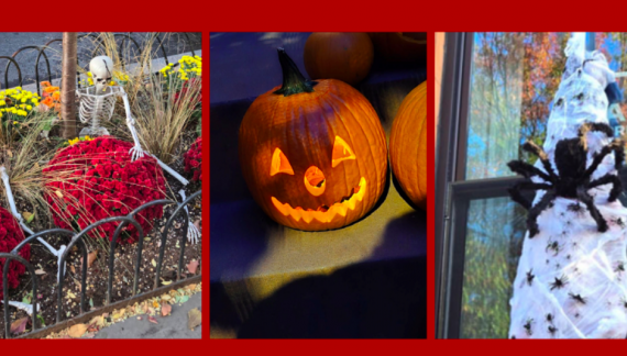 We All Scream Halloween: Frightfully Fun Events to Take a Stab At