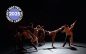 Matthew Westerby Company’s 2025 Season is a Dynamic Dance of Past & Present