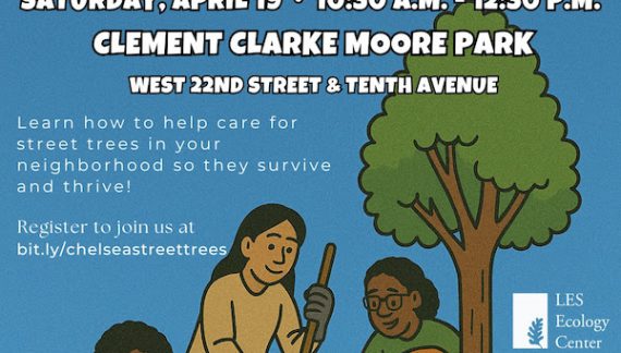 Workshop Teaches the ABCs of Street Tree TLC