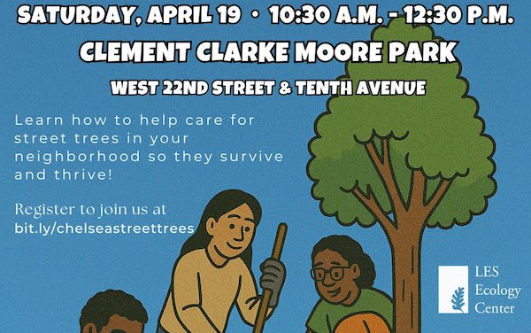 Workshop Teaches the ABCs of Street Tree TLC