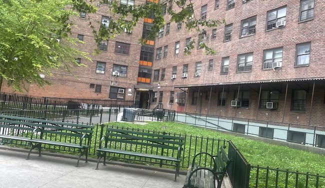 Community Voices: NYCHA Residents Talk Renovation, Privatization, Demolition Community Voices: NYCHA Residents Talk Renovation, Privatization, Demolition