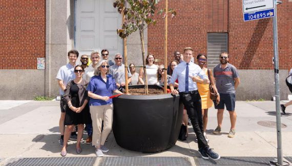 Coordinated Effort Sees Potted Trees Take Root on Seventh Ave.