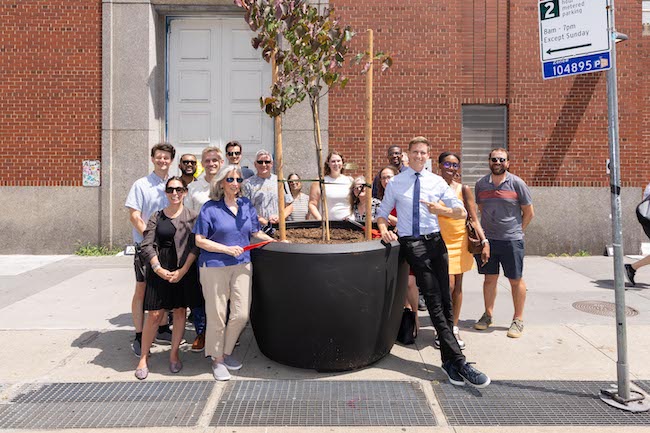 Coordinated Effort Sees Potted Trees Take Root on Seventh Ave.