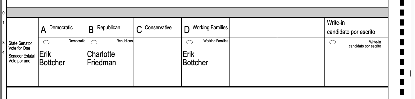 Early Voting Through Feb. 1, for State Senate District 47 Special Election