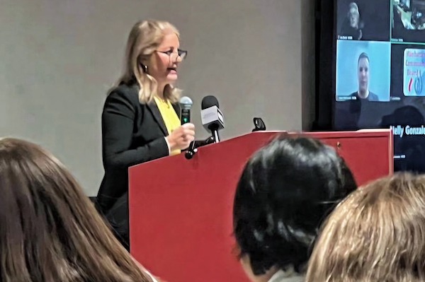 Q&A with City Council District 3 Candidate Leslie Boghosian Murphy